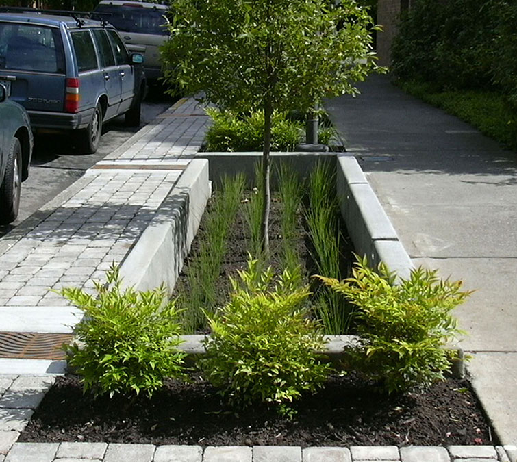 trifolia-overvannshandtering-oslo-4 Overvannshåndtering i hage i Oslo